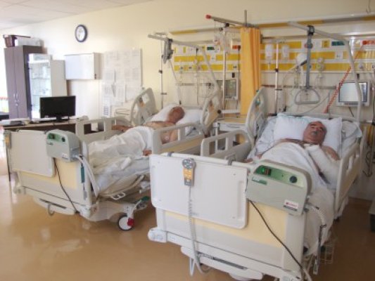 A intrat în vigoare coplata: taxă modică, la externare